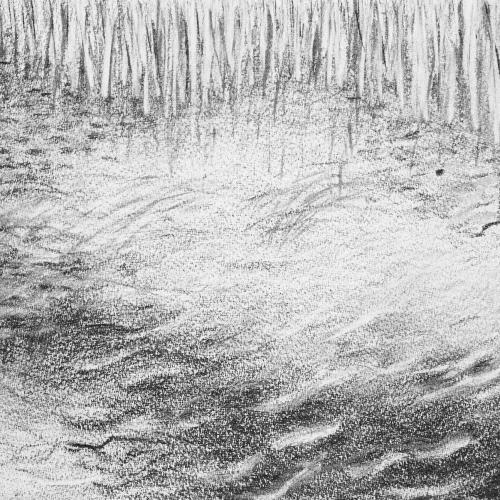 kim bachmann cours d'eau