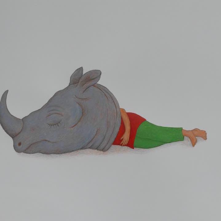 kim bachmann rhino