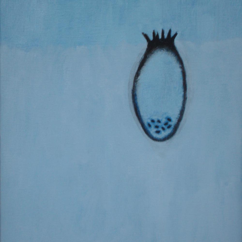 TOILES 2012