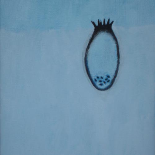 TOILES 2012