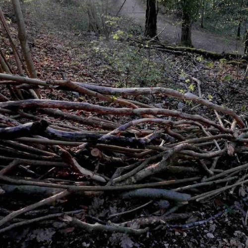kim bachmann landart