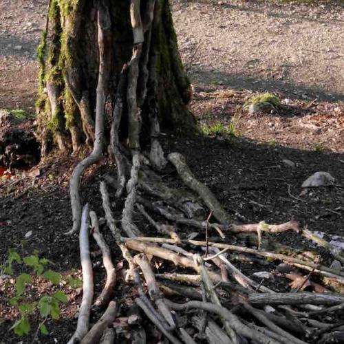 kim bachmann landart