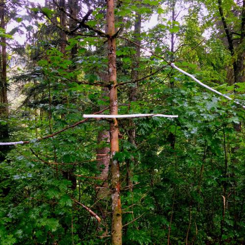 kim bachmann landart