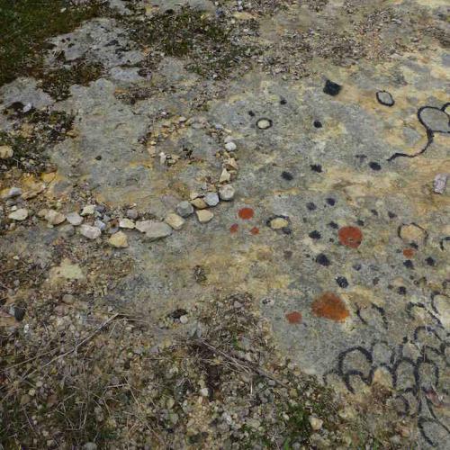 kim bachmann landart