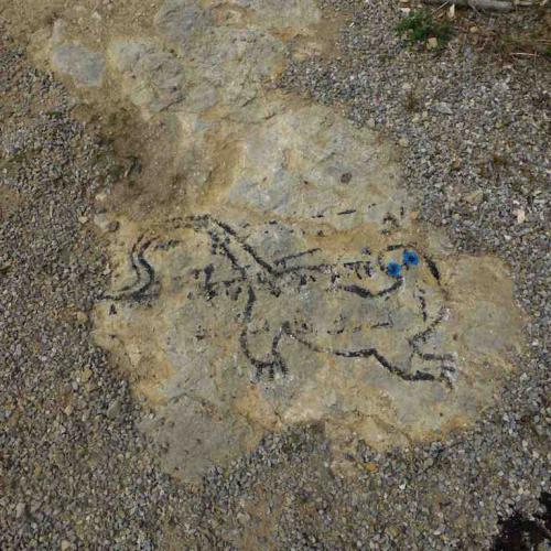 kim bachmann landart