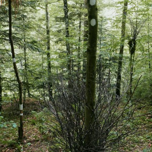 LANDART 2023