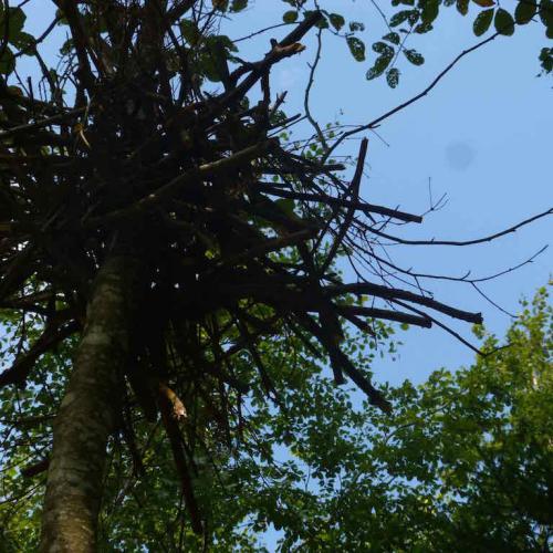 kim bachmann landart
