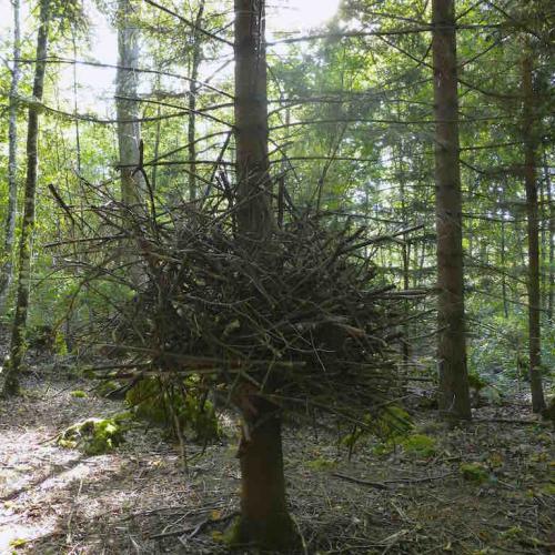 kim bachmann landart