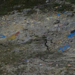 kim bachmann landart