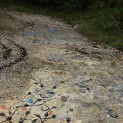 kim bachmann landart