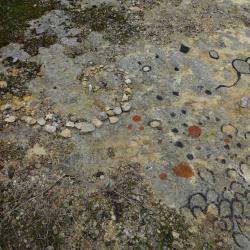 kim bachmann landart