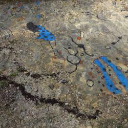 kim bachmann landart