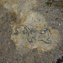 kim bachmann landart