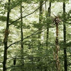 LANDART 2023