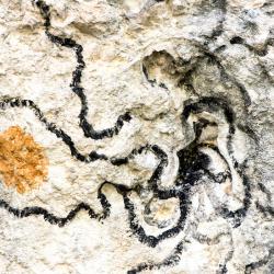 kim bachmann landart