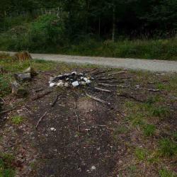 kim bachmann landart