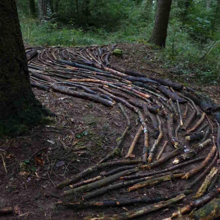 kim bachmann landart