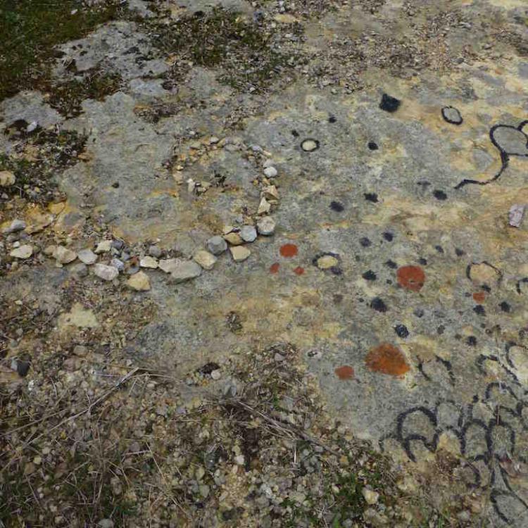 kim bachmann landart