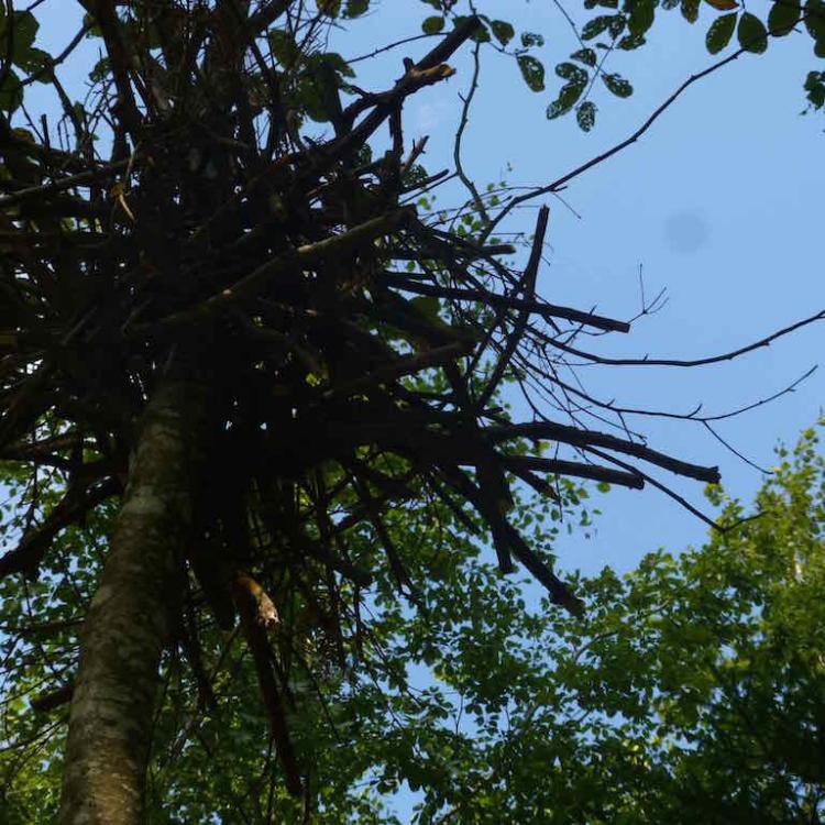 kim bachmann landart