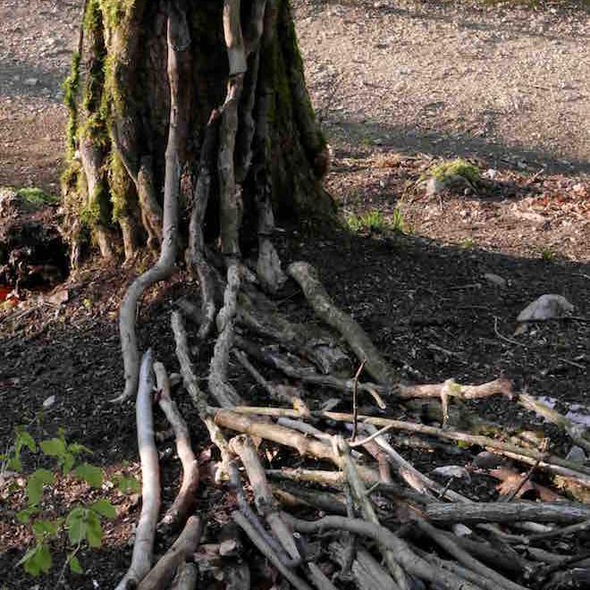 kim bachmann landart