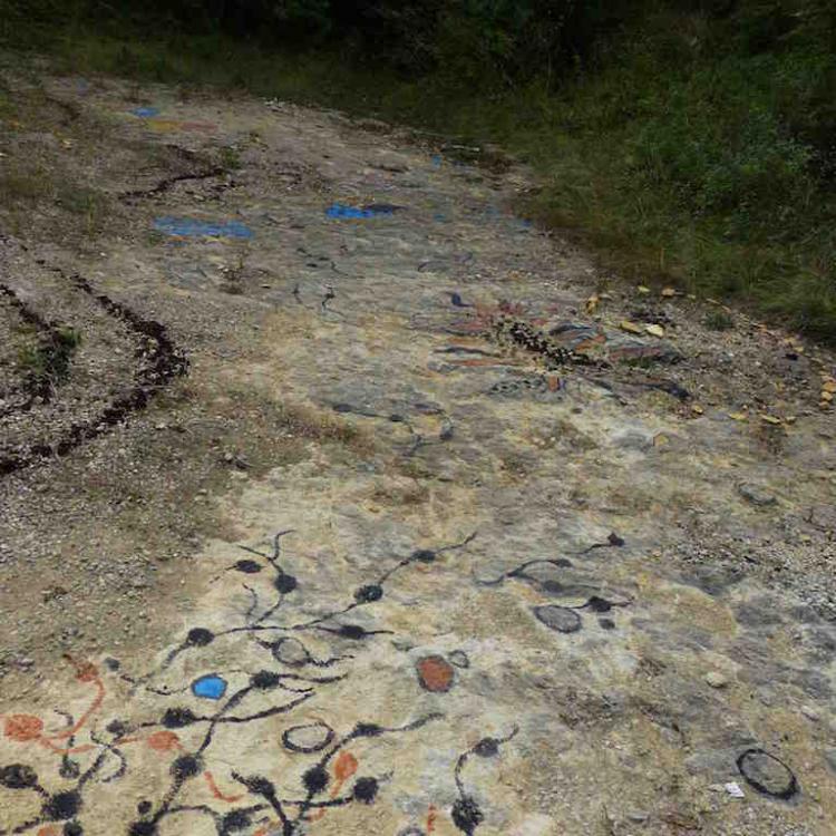 kim bachmann landart