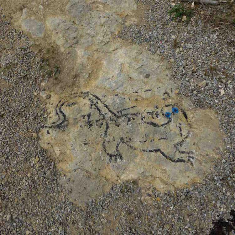 kim bachmann landart