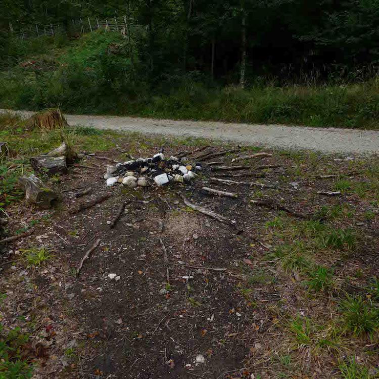 kim bachmann landart
